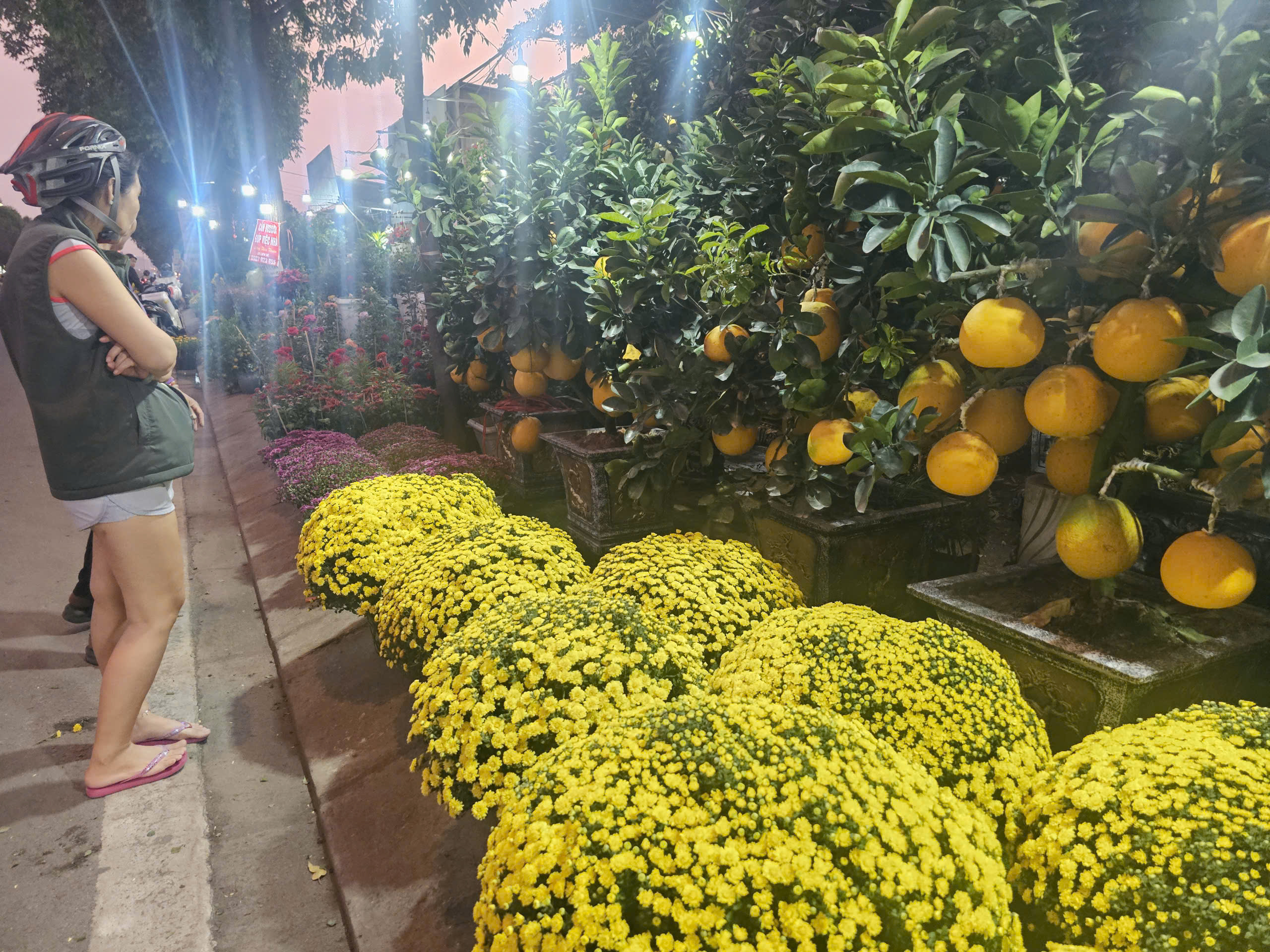 Giá cúc mâm xôi Tết năm nay có rẻ hơn không khi nhiều nơi kêu gọi giải cứu? - Ảnh 3. Giá cúc mâm xôi Tết năm nay có rẻ hơn không khi nhiều nơi kêu gọi giải cứu? - Ảnh 3.