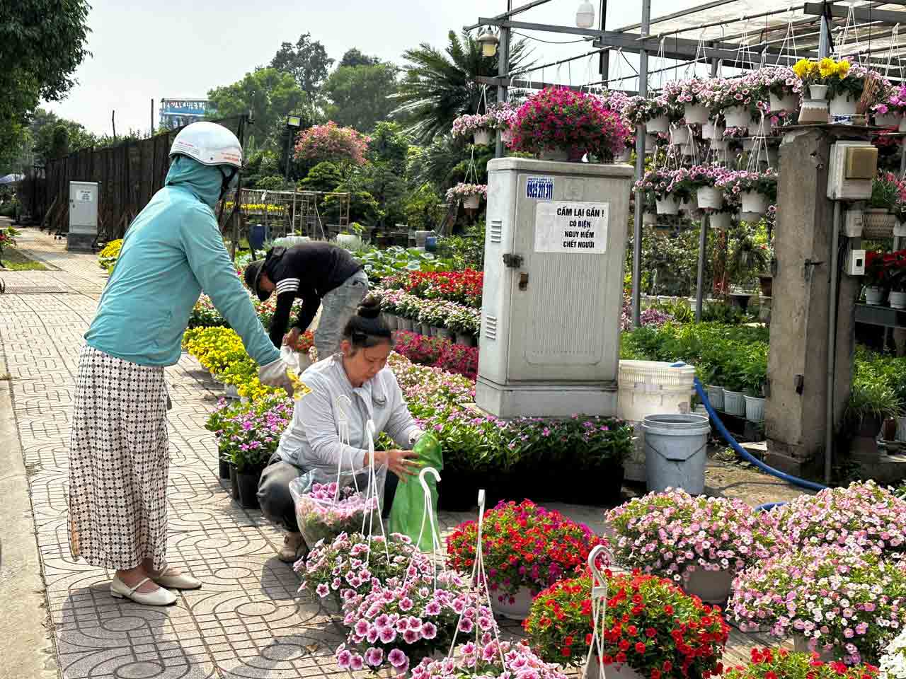 Nhà vườn hoa kiểng phập phồng vì thời tiết- Ảnh 3.