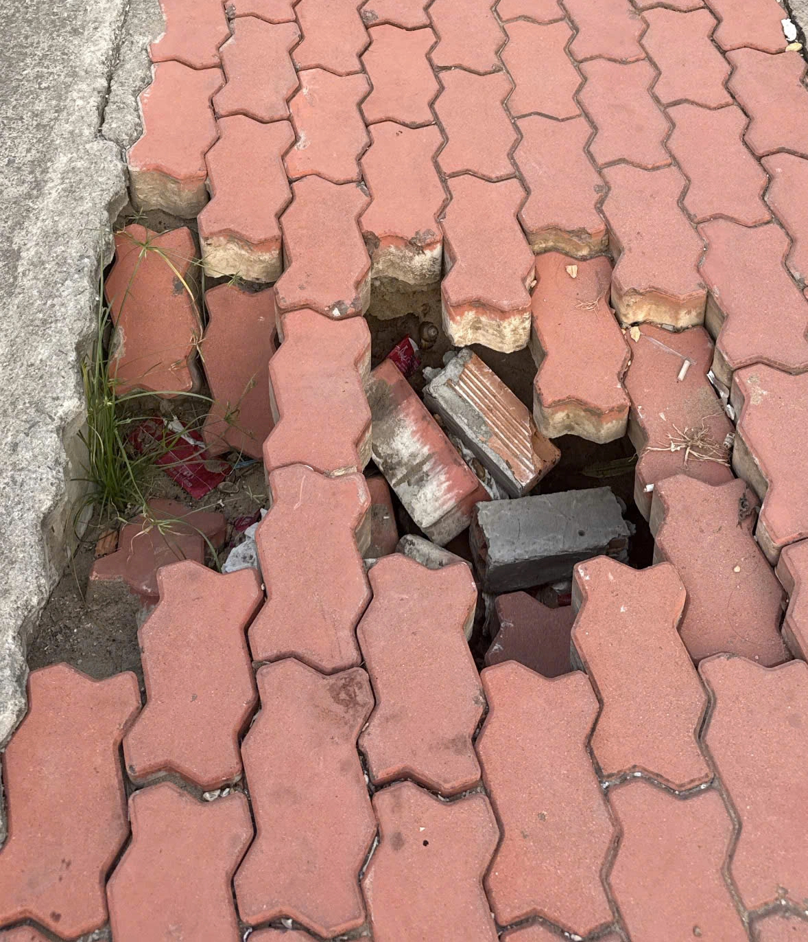 Người dân dọc Trần Xuân Soạn lo sụt lún giống bờ kè kênh Tàu Hủ  - Ảnh 2.