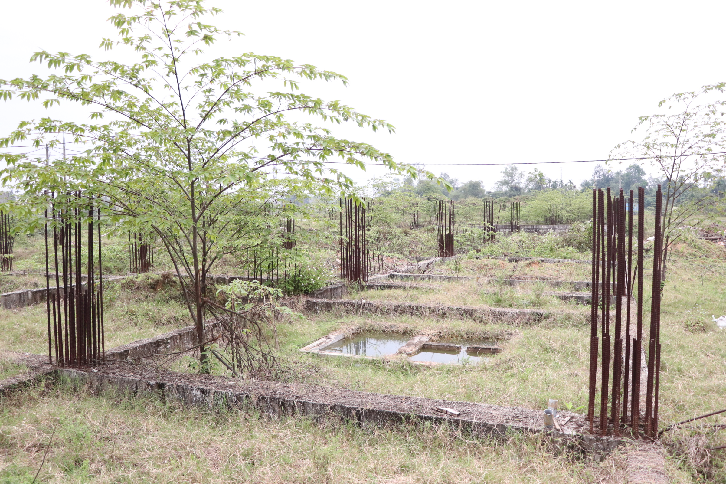 Dự án bất động sản Đà Nẵng kéo dài , cử tri bức xúc về tiến độ thi công - Ảnh 5.