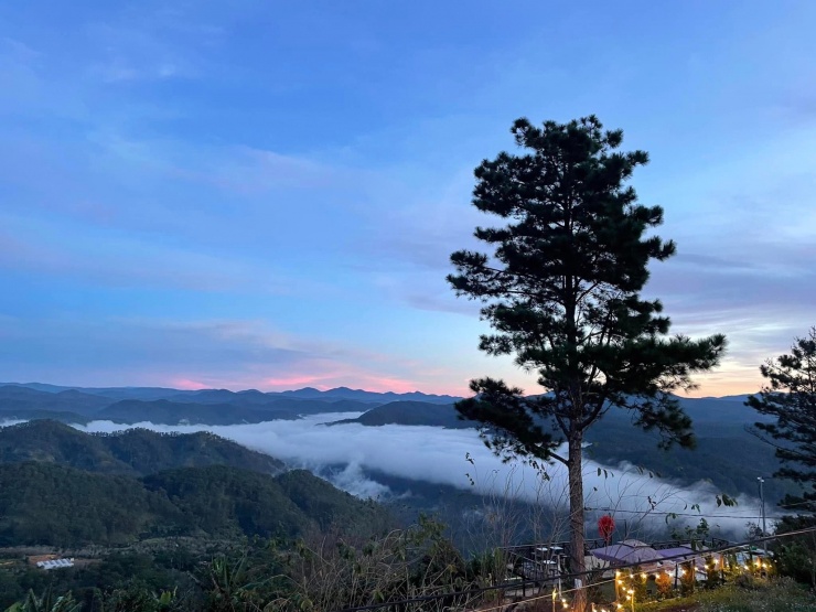 Du khách chọn điểm đến nào nhiều nhất trong dịp Tết Bính Ngọ 2026? 4 Du khách chọn điểm đến nào nhiều nhất trong dịp Tết Bính Ngọ 2026? - 3