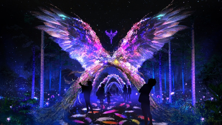 Du khách chọn điểm đến nào nhiều nhất trong dịp Tết Bính Ngọ 2026? 5 Nhiều du khách chọn Đà Lạt là điểm đến cho chuyến du lịch Tết.