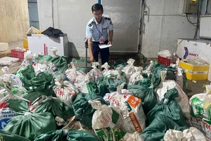 TP.HCM: Phát hiện hộ kinh doanh chứa hơn 18 tấn lòng bò, thịt bò không rõ nguồn gốc