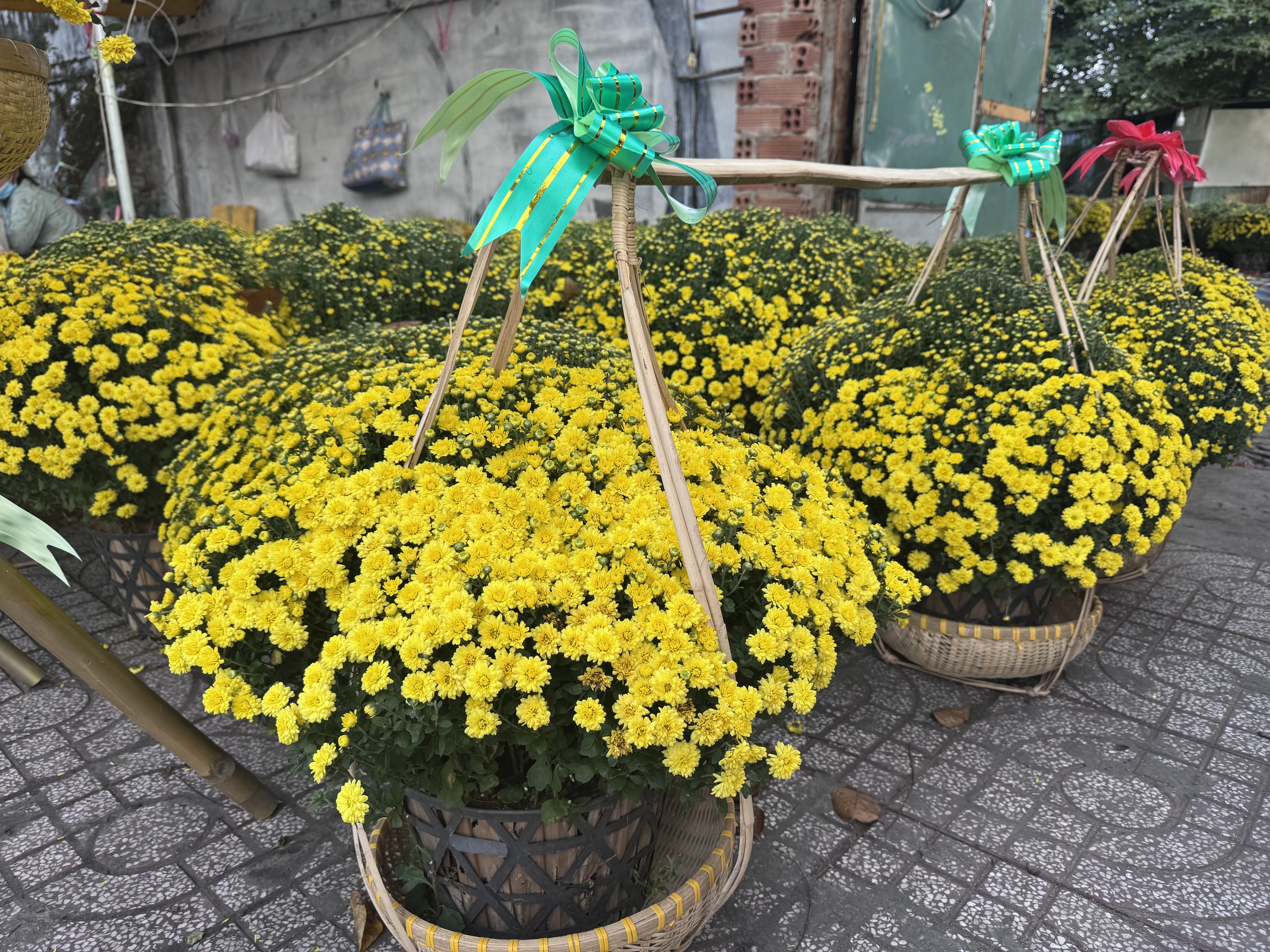 Cúc mâm xôi Tết 2023: Giá cả và sự đa dạng tại TP HCM - Ảnh 10.