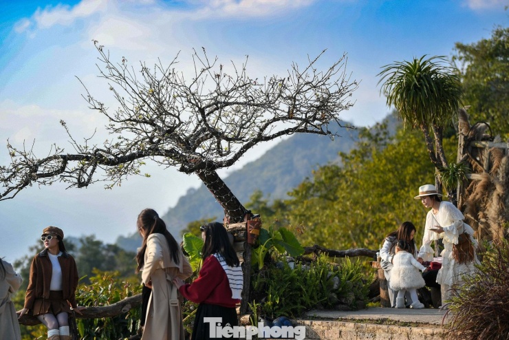 Khoảng từ 5-6h, du khách bắt đầu tập trung đông nhất. Nhiều người lựa chọn ngồi tại quán cà phê trên đỉnh núi để vừa nghỉ ngơi, vừa quan sát mây dâng. Quán được xây dựng đơn giản, chủ yếu phục vụ đồ uống nóng, đóng vai trò là điểm check-in và dừng chân hơn là một không gian cà phê quy mô lớn.