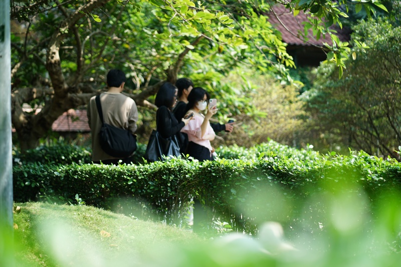 Sau vụ bắt cóc hy hữu, con thiên nga trắng còn lại tại Thảo Cầm Viên trong tình trạng khác lạ khiến nhiều người lo lắng- Ảnh 5.