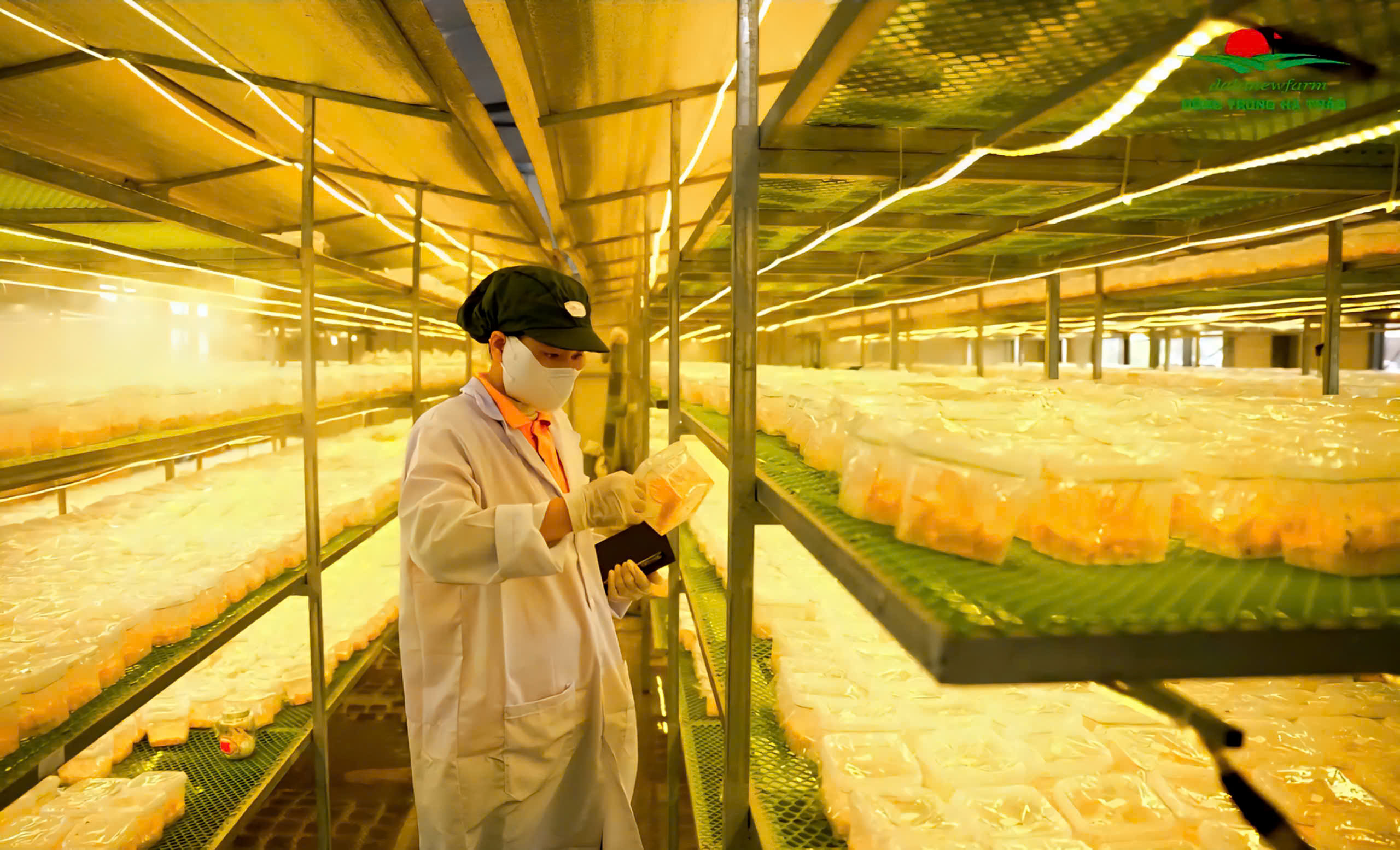 Đông trùng hạ thảo DalaNewfarm: Tất cả vì sức khỏe cộng đồng - Ảnh 3.