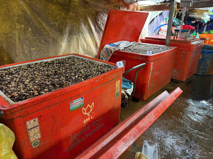 Rùng mình lời khai của chủ vựa ngâm 3.000 tấn thịt ốc bằng hóa chất công nghiệp- Ảnh 5.