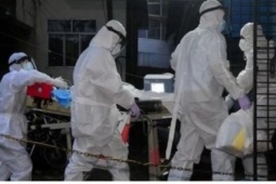 Chuyên gia cảnh báo nhóm đối tượng dễ bị tổn thương nhất do virus Nipah