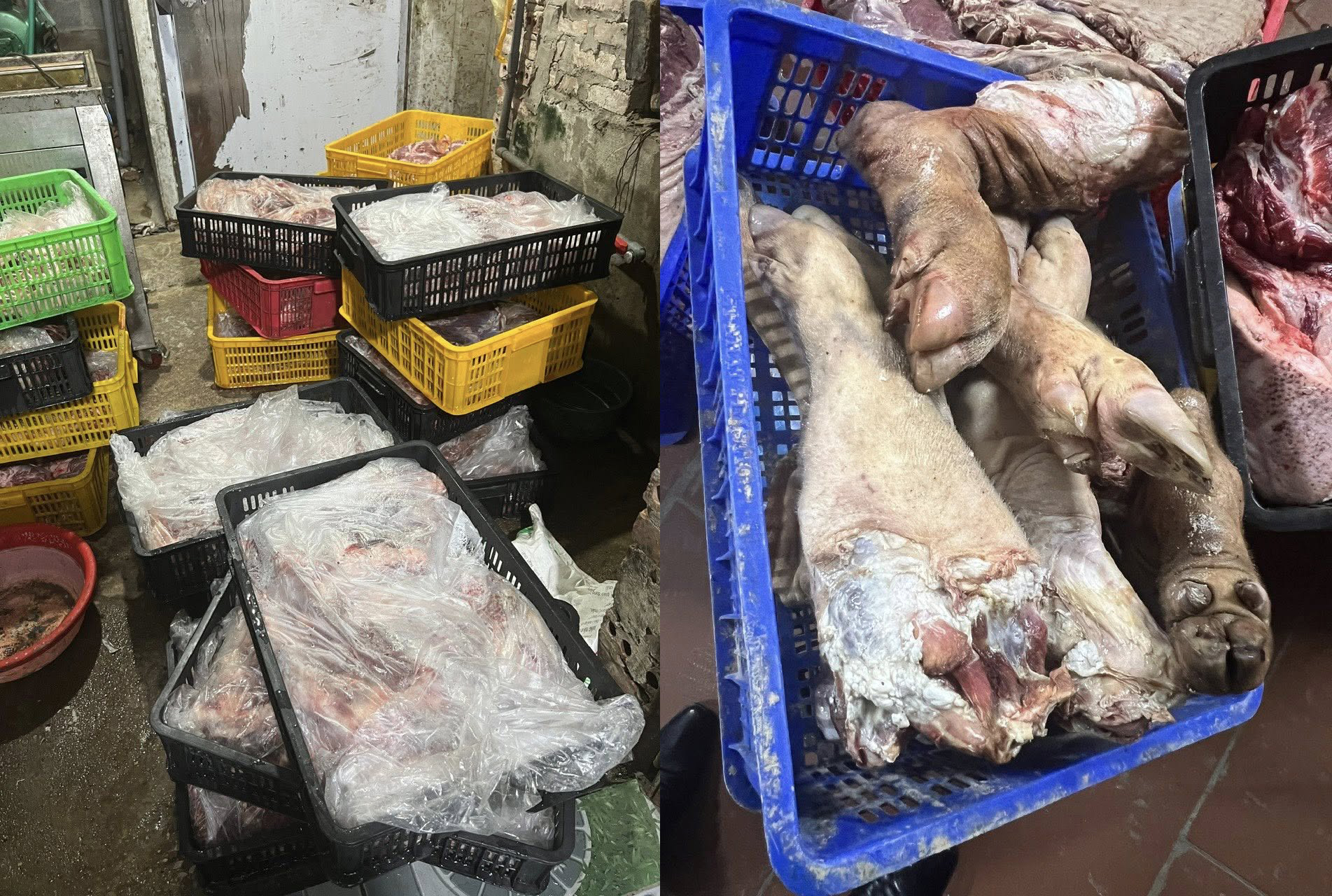 Bắt thêm một người trong vụ thu mua, trữ gần 40 tấn heo bệnh để bán ra thị trường - Ảnh 2.