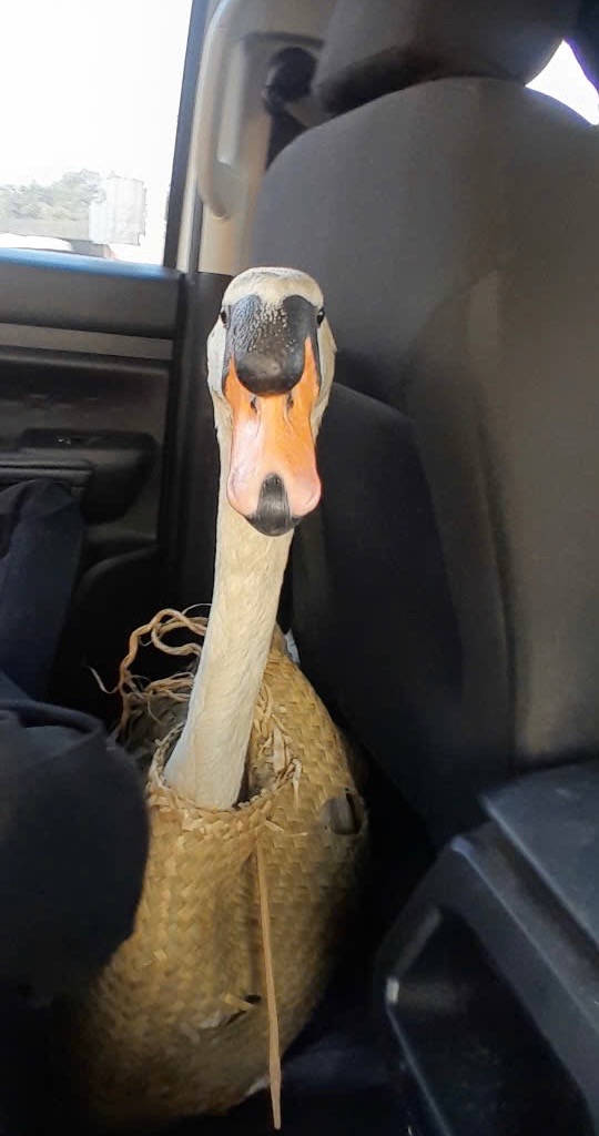 Cập nhật tình hình mới nhất của Dương - nạn nhân vụ 