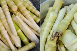 Những lưu ý để tránh bị ngộ độc khi ăn măng