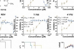 Trung Quốc phát hiện thuốc COVID-19 chống virus Nipah hiệu quả