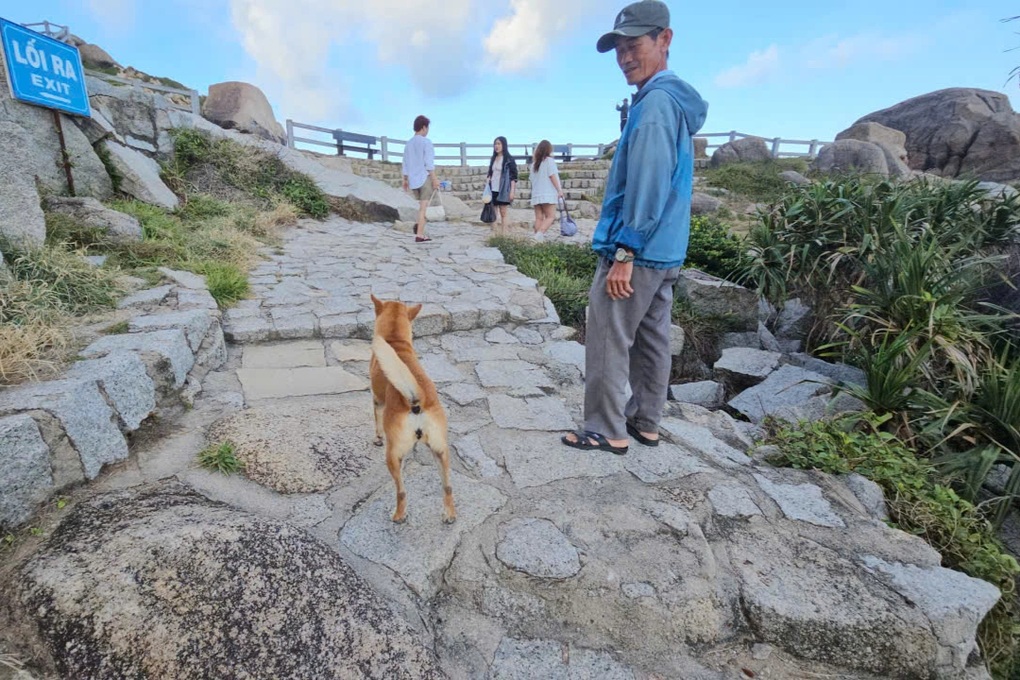 Chú chó ở Phú Yên gây sốt vì chỉ đường cho khách như hướng dẫn viên - 4