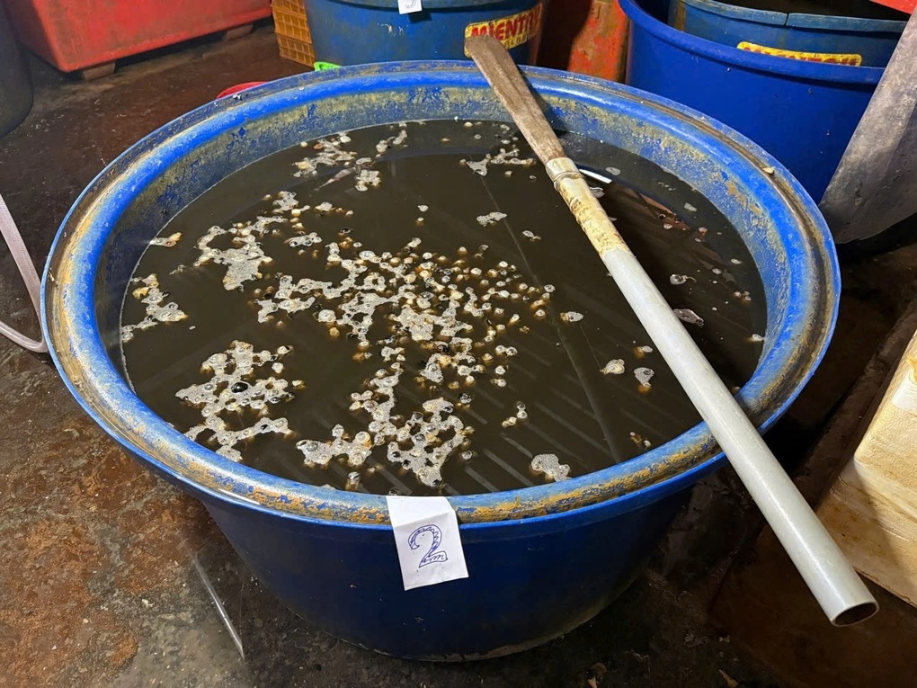 Thủ đoạn che giấu của chủ cơ sở ngâm 3.000 tấn ốc trong hóa chất ở TPHCM - 2