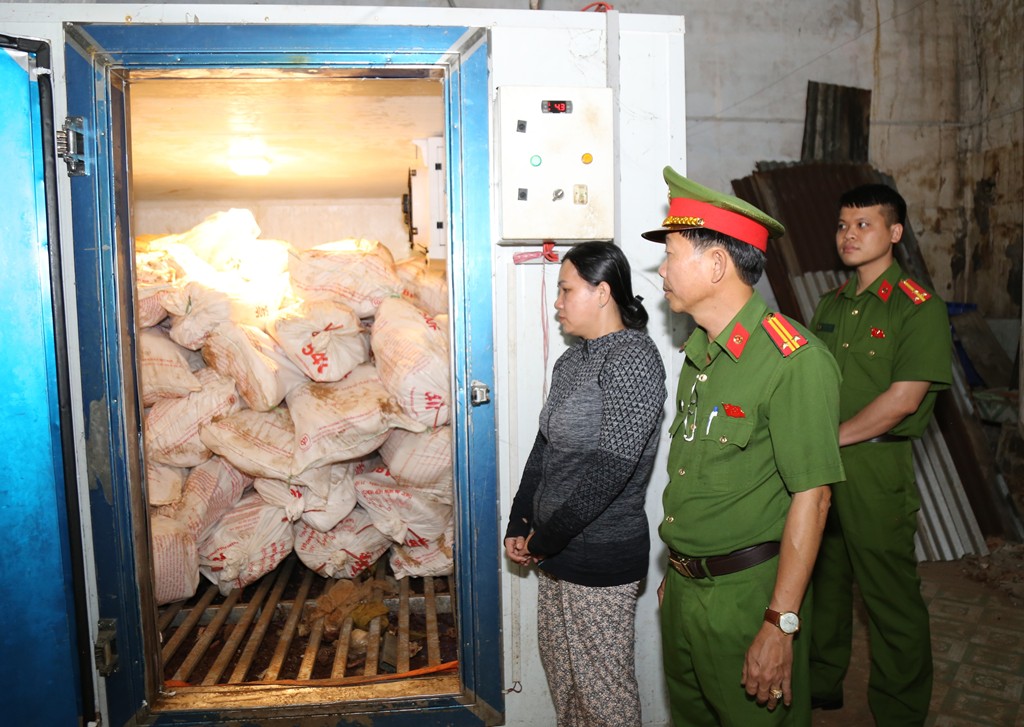 Ai đã bán và mua heo chết của Lê Thị Bích Phượng, liên hệ ngay cơ quan công an- Ảnh 2.