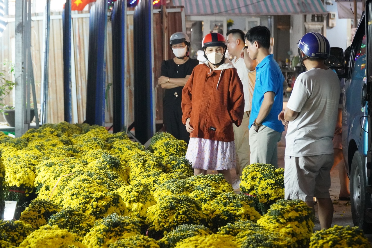 Ấm lòng ngày giáp Tết: Người dân TP.HCM chung tay giải cứu từng chậu cúc mâm xôi, giúp bà con nông dân miền Tây vơi bớt nỗi lo mất mùa- Ảnh 7.