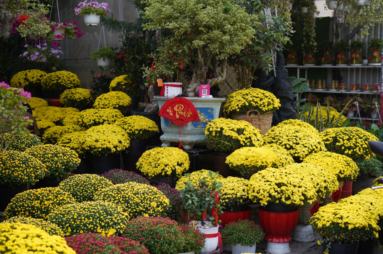 Ấm lòng ngày giáp Tết: Người dân TP.HCM chung tay giải cứu từng chậu cúc mâm xôi, giúp bà con nông dân miền Tây vơi bớt nỗi lo mất mùa- Ảnh 10.