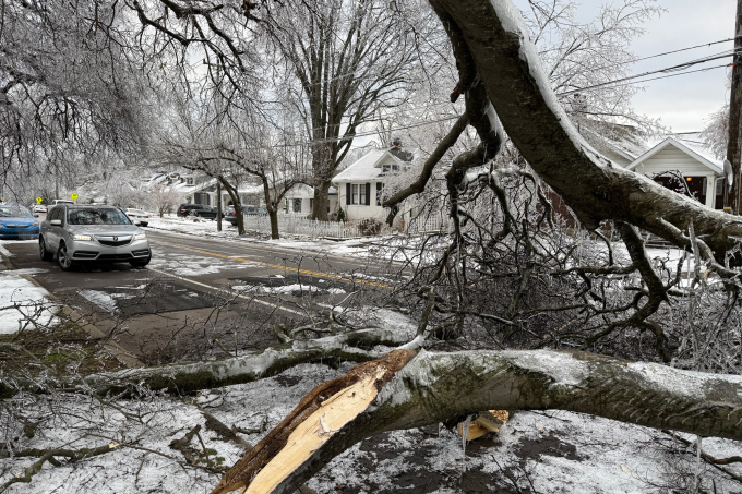 Cây đổ chắn ngang đường sau trận bão mùa đông ở Nashville, bang Tennessee  ngày 27/1. Ảnh: AP