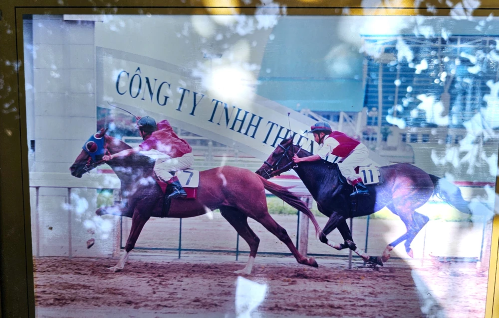 Hào quang của những chú ngựa đua đã khép lại khi trường đua ngựa Phú Thọ đóng cửa năm 2011. Ngựa Đức Hòa 7.jpg