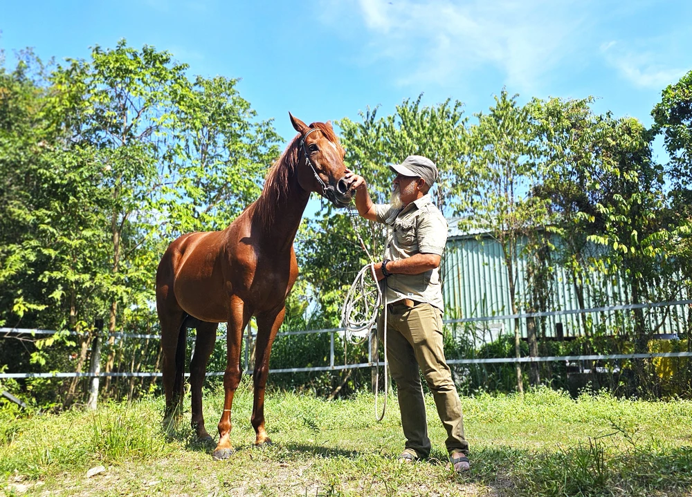 Với những người gắn bó với ngựa đua, tất cả tâm huyết, niềm đam mê. Ngựa Đức Hòa 9.jpg