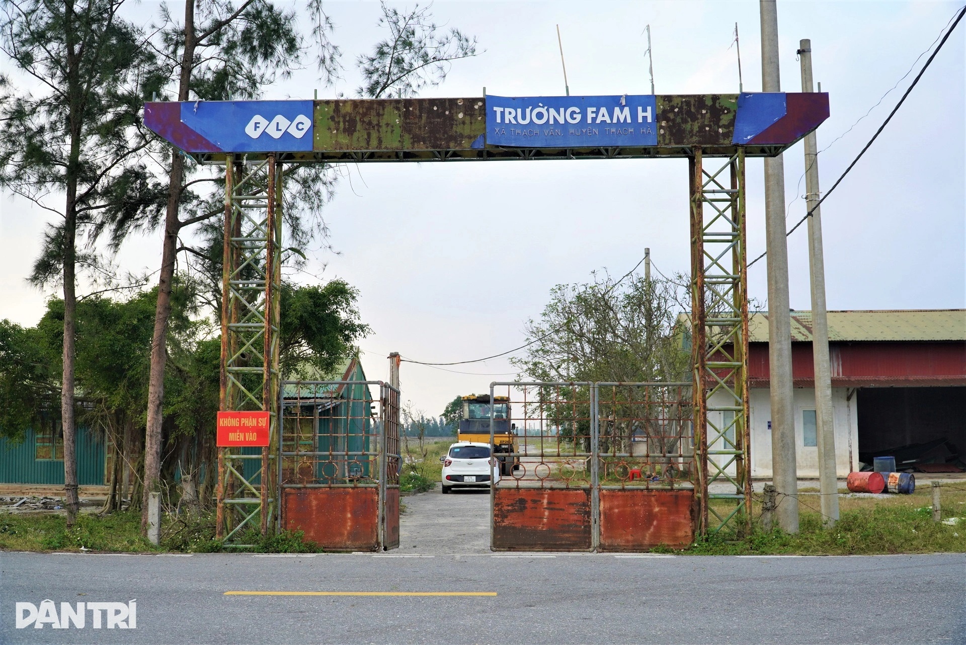 Bãi cọc bê tông ở dự án nông nghiệp công nghệ cao 300 tỷ đồng của FLC - 2