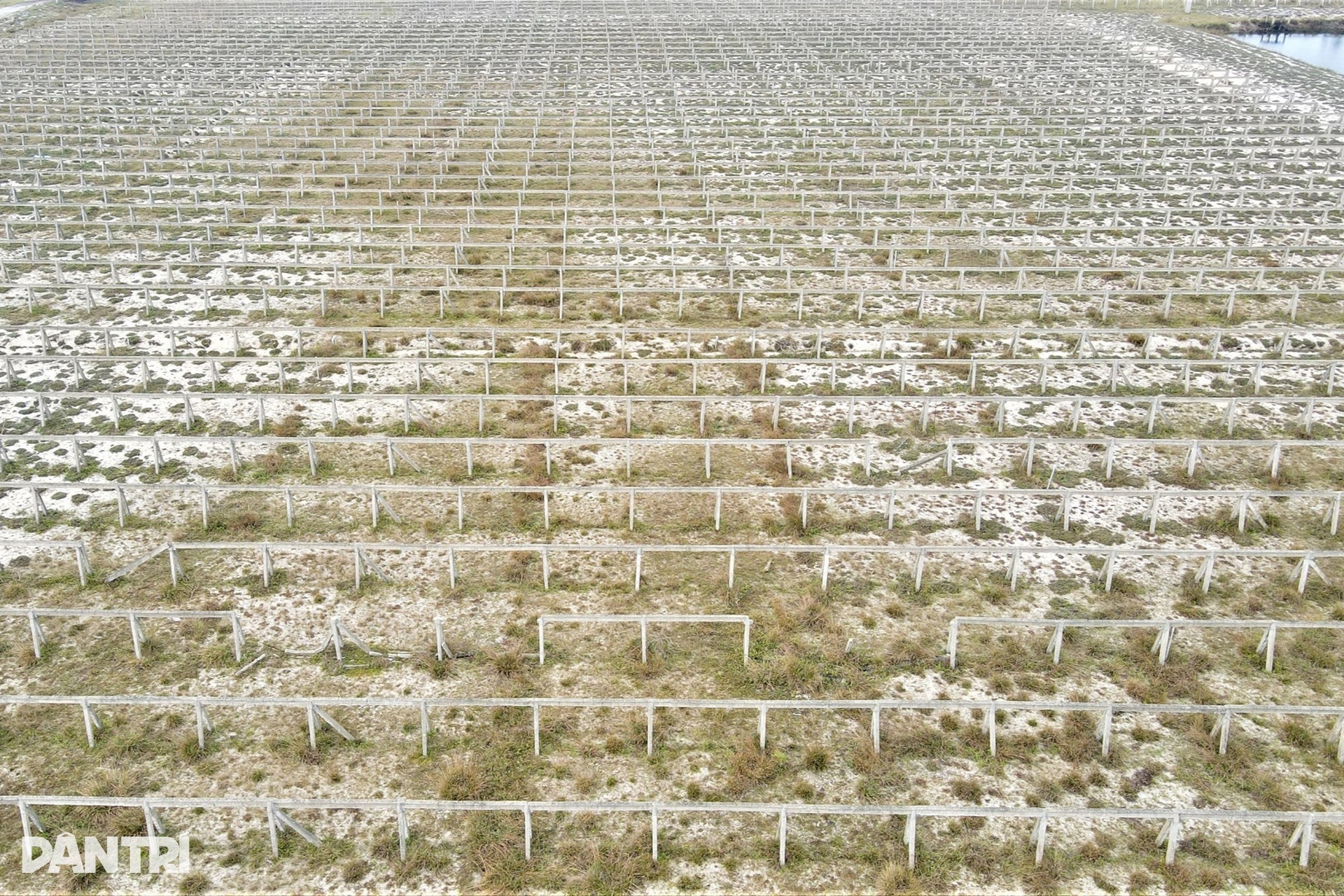 Bãi cọc bê tông ở dự án nông nghiệp công nghệ cao 300 tỷ đồng của FLC - 3