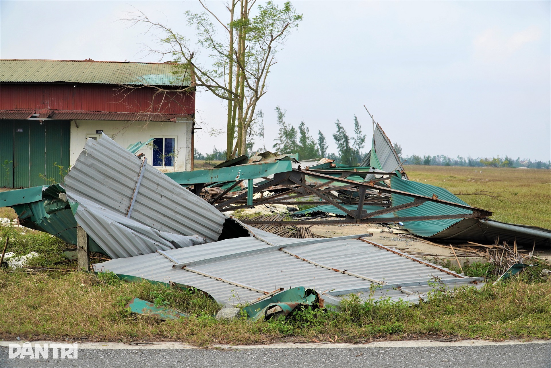Bãi cọc bê tông ở dự án nông nghiệp công nghệ cao 300 tỷ đồng của FLC - 8