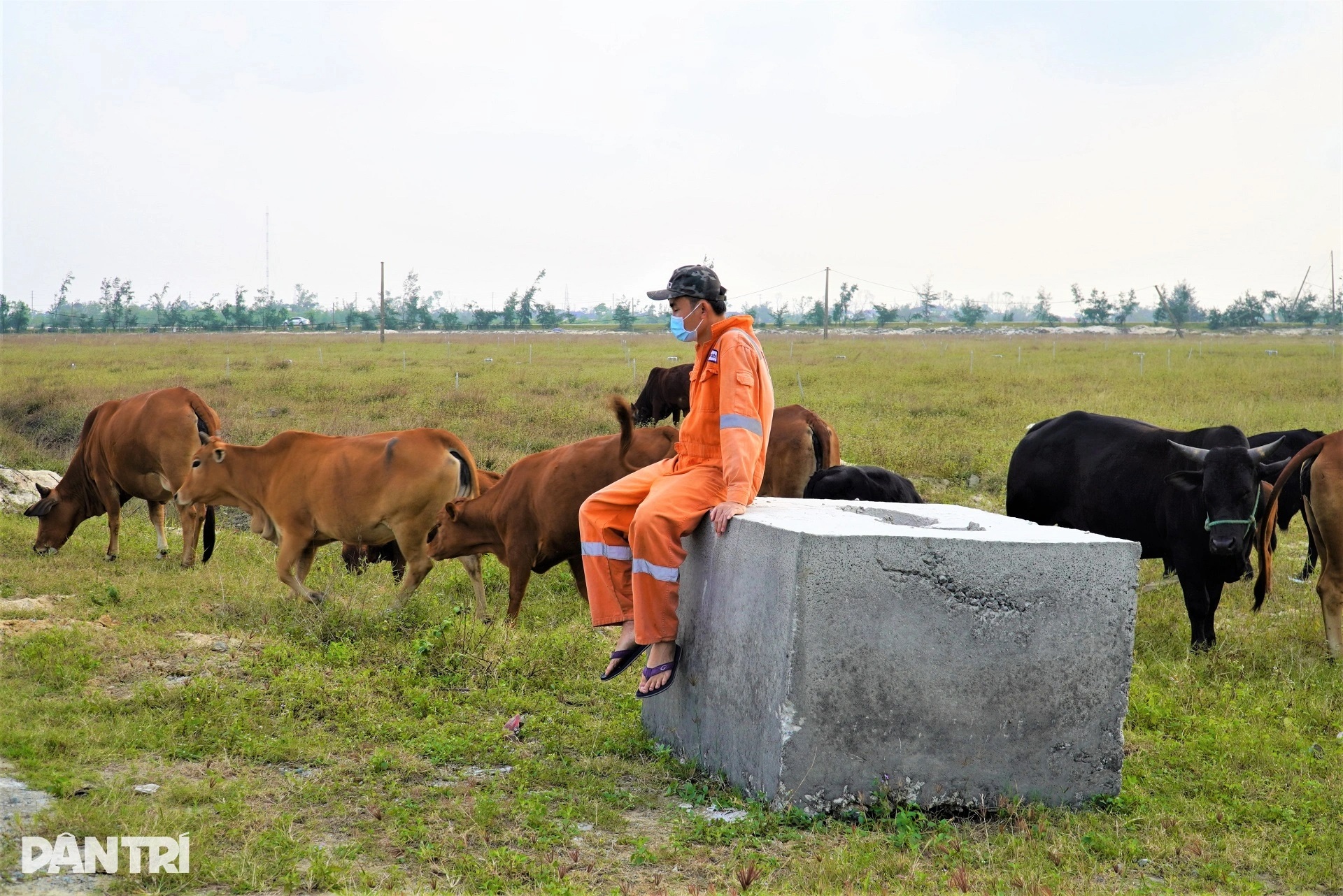 Bãi cọc bê tông ở dự án nông nghiệp công nghệ cao 300 tỷ đồng của FLC - 9