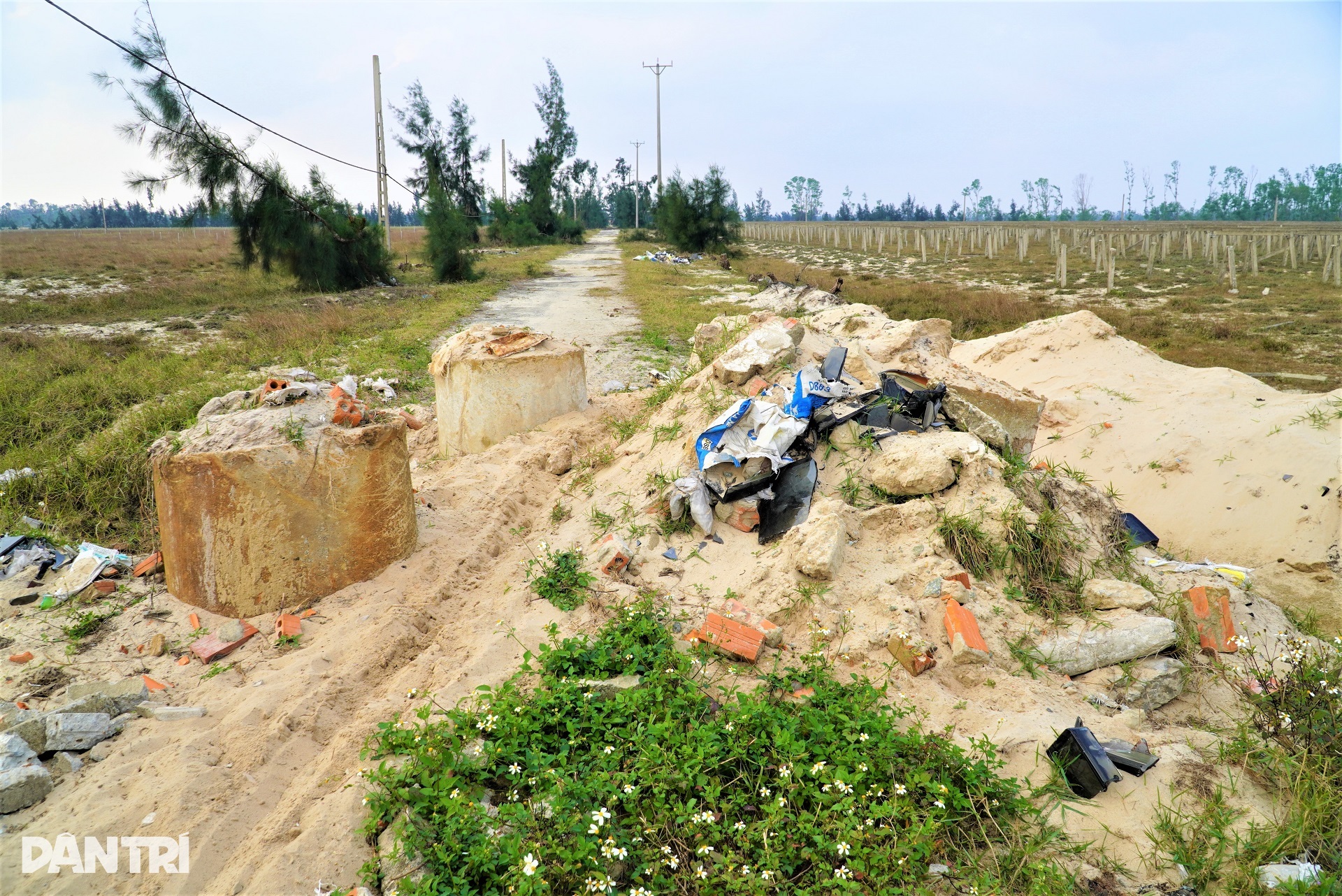 Bãi cọc bê tông ở dự án nông nghiệp công nghệ cao 300 tỷ đồng của FLC - 10