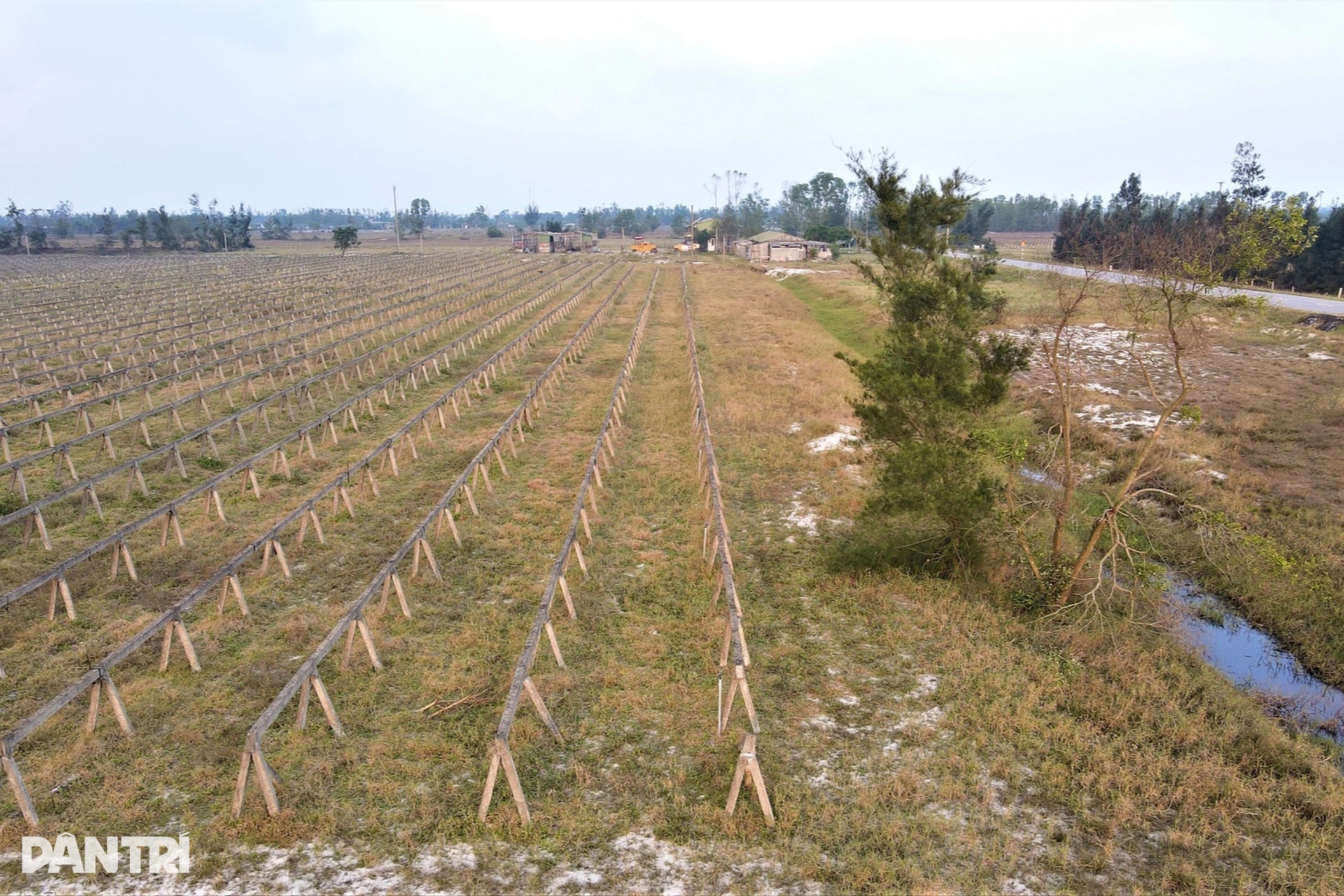 Bãi cọc bê tông ở dự án nông nghiệp công nghệ cao 300 tỷ đồng của FLC - 11