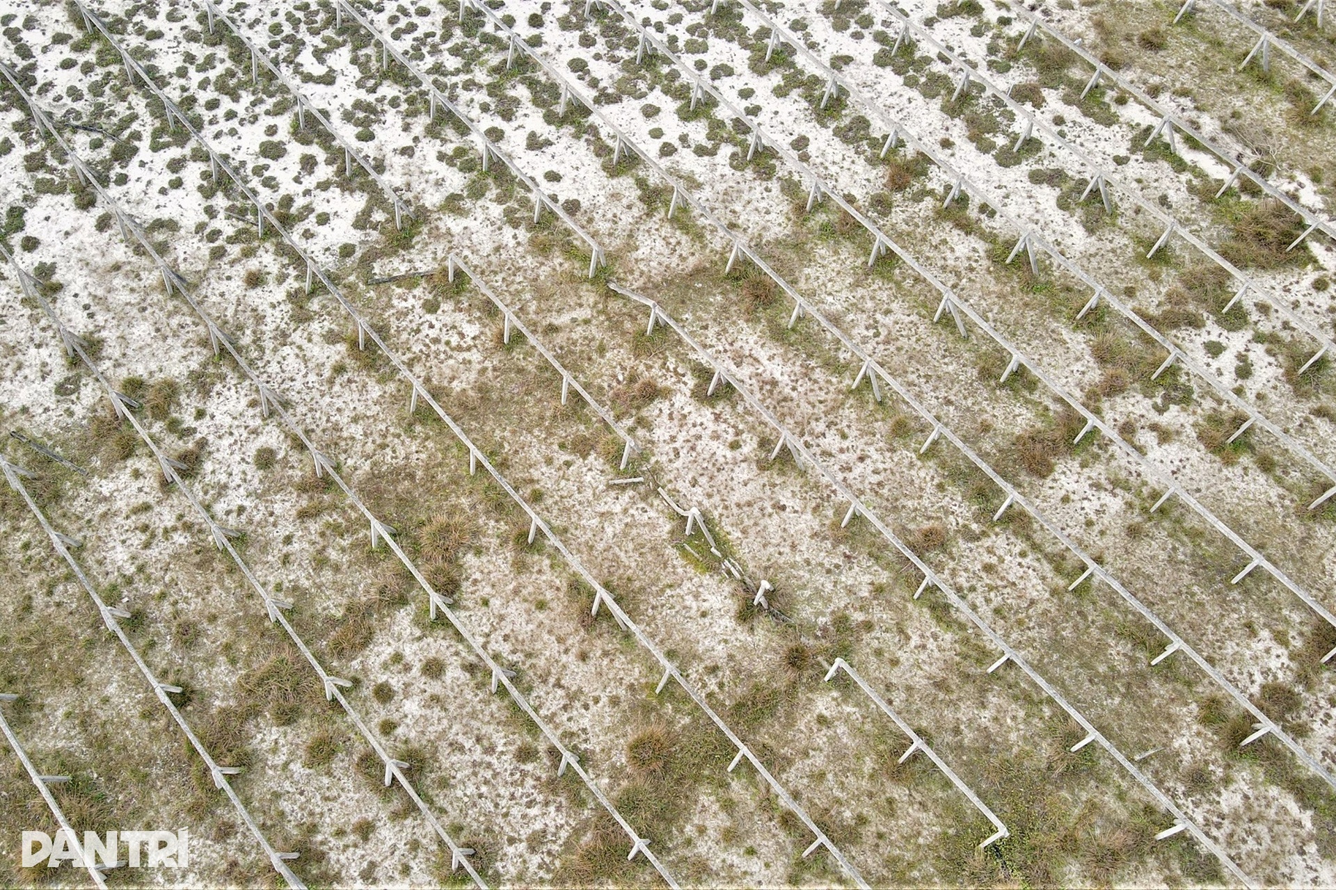 Bãi cọc bê tông ở dự án nông nghiệp công nghệ cao 300 tỷ đồng của FLC - 12