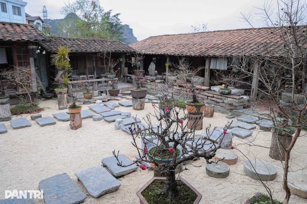 Lạng Sơn: Ông chủ mở quán cà phê bảo tồn văn hóa, bật mí cách chọn đào đẹp - 2