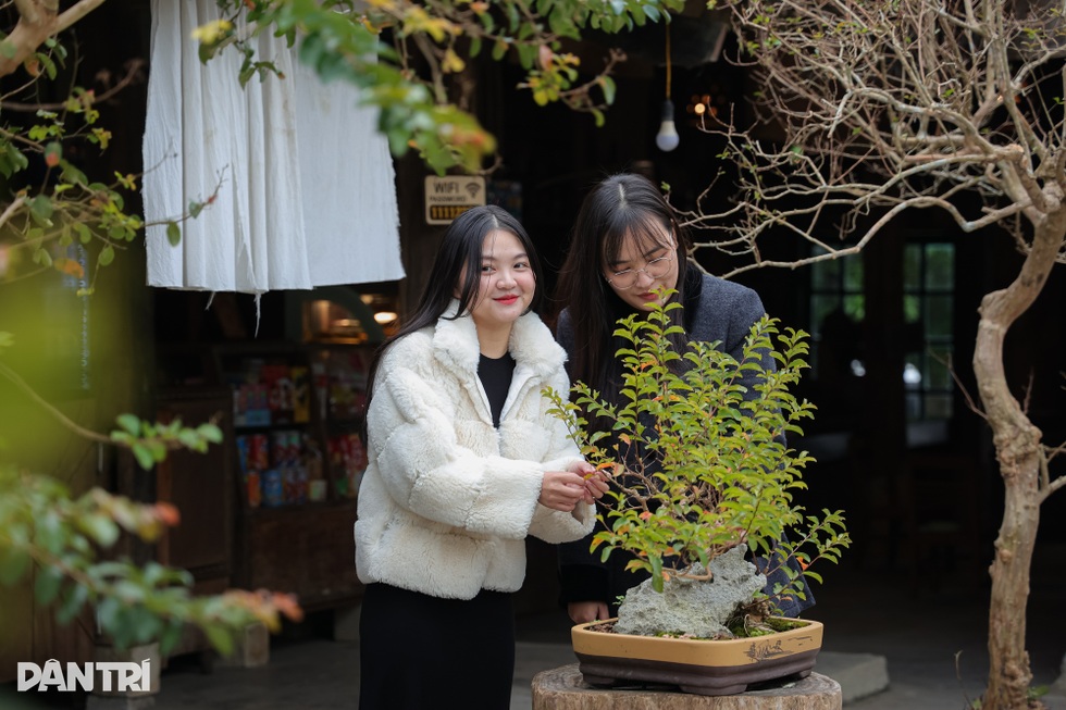 Lạng Sơn: Ông chủ mở quán cà phê bảo tồn văn hóa, bật mí cách chọn đào đẹp - 4