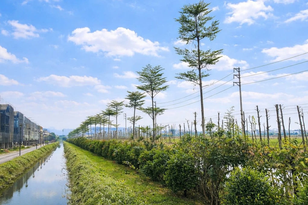 Vista Nam An Khánh trồng hơn 9.200 cây xanh và 2,2ha thảm xanh, vượt 131% kế hoạch - 2