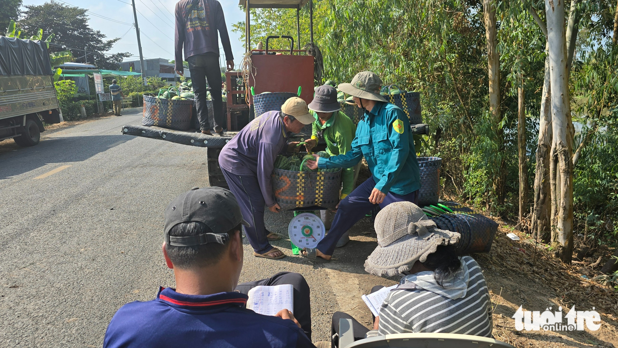 Giá dưa hấu tại An Giang ‘dội chợ’ cận Tết, giảm hơn 50% so với tháng trước 2 giá dưa hấu - Ảnh 2.