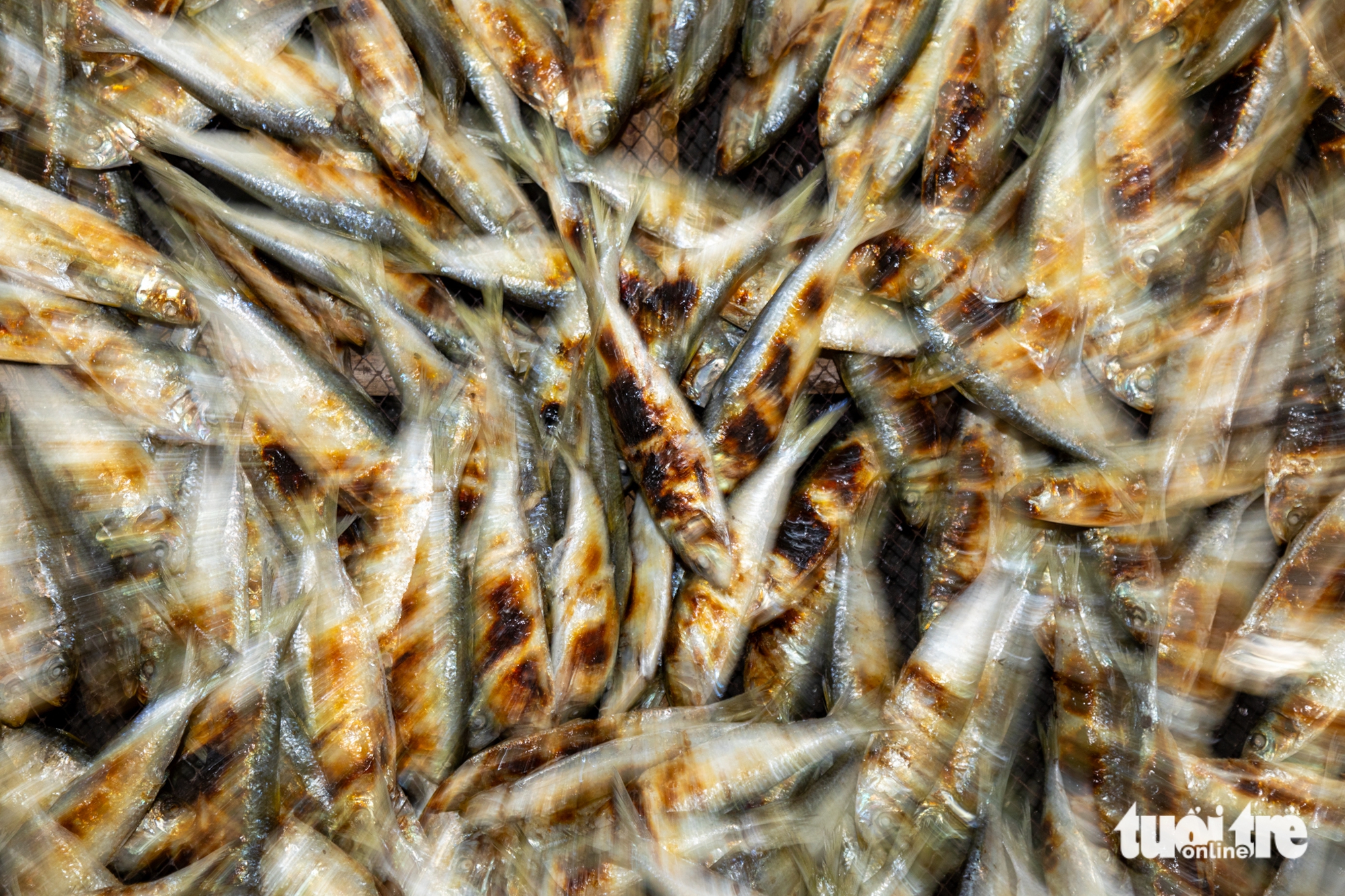 Nghề nướng cá biển vào vụ Tết, người làm ngồi bên bếp than hồng từ trưa đến tối 4 nghề biển - Ảnh 4.