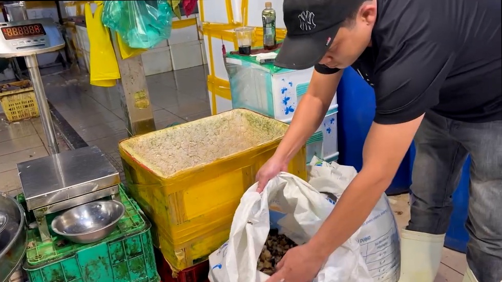 Vì sao cơ sở ngâm 3.000 tấn ốc với hóa chất tồn tại 5 năm ở TPHCM? - 5