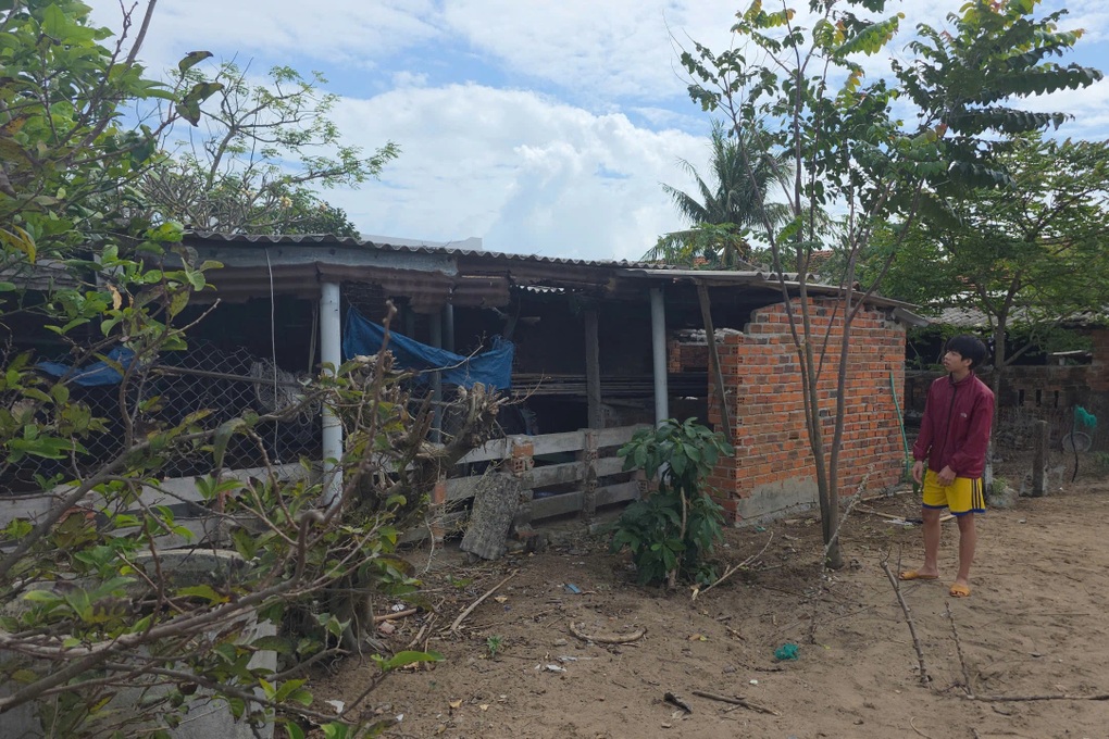 Tặng Bằng khen nam sinh sơ cứu cho phi công trong vụ rơi máy bay - 2