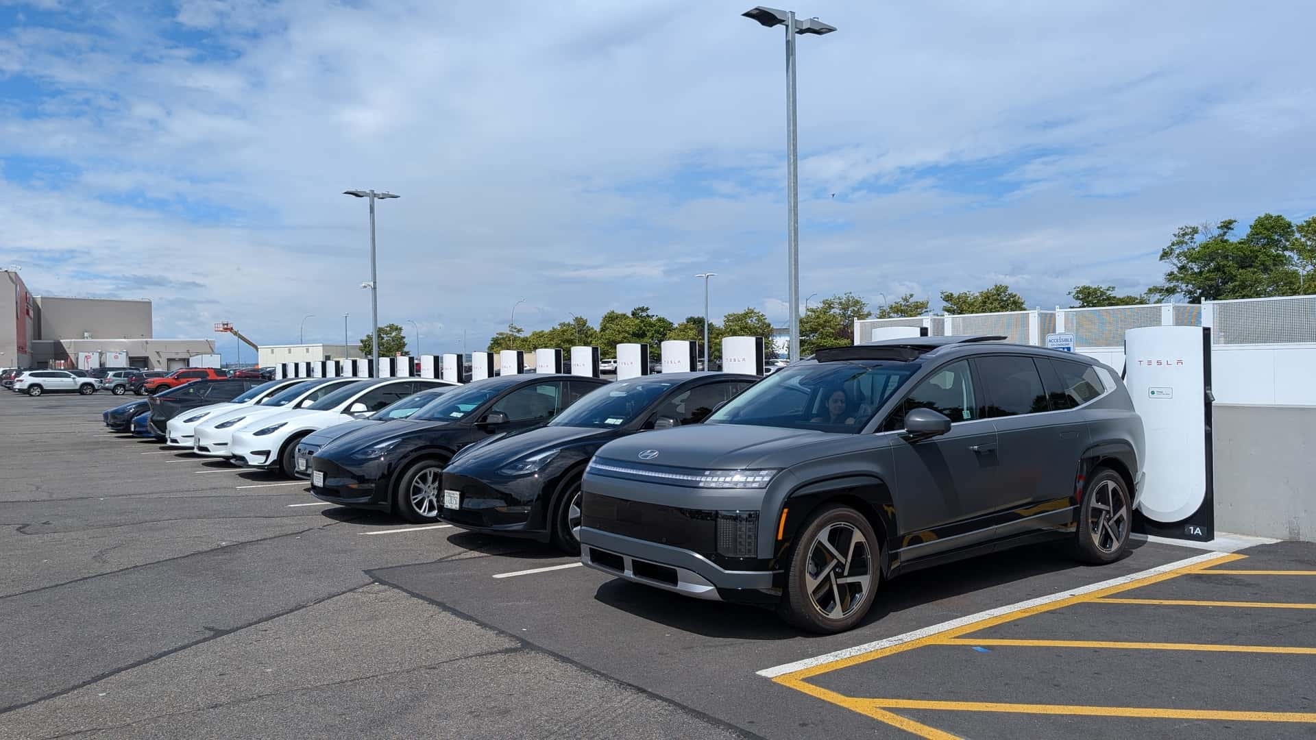 xe điện - Ảnh 2.