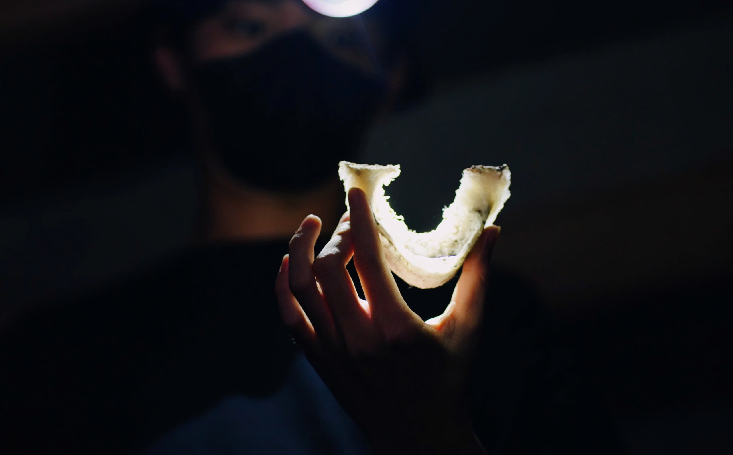 Cần Giờ - Ảnh 3.