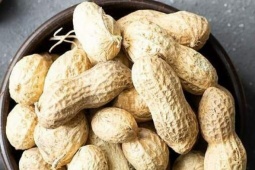 Vì sao không nên dùng lạc làm mồi uống rượu, bia?