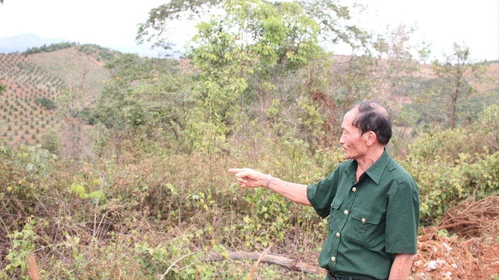 Cựu chiến binh 20.JPG