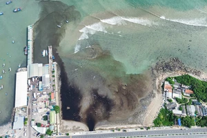 Khánh Hòa cho thuê chuyên gia xử lý ô nhiễm từ các bãi rác chôn lấp