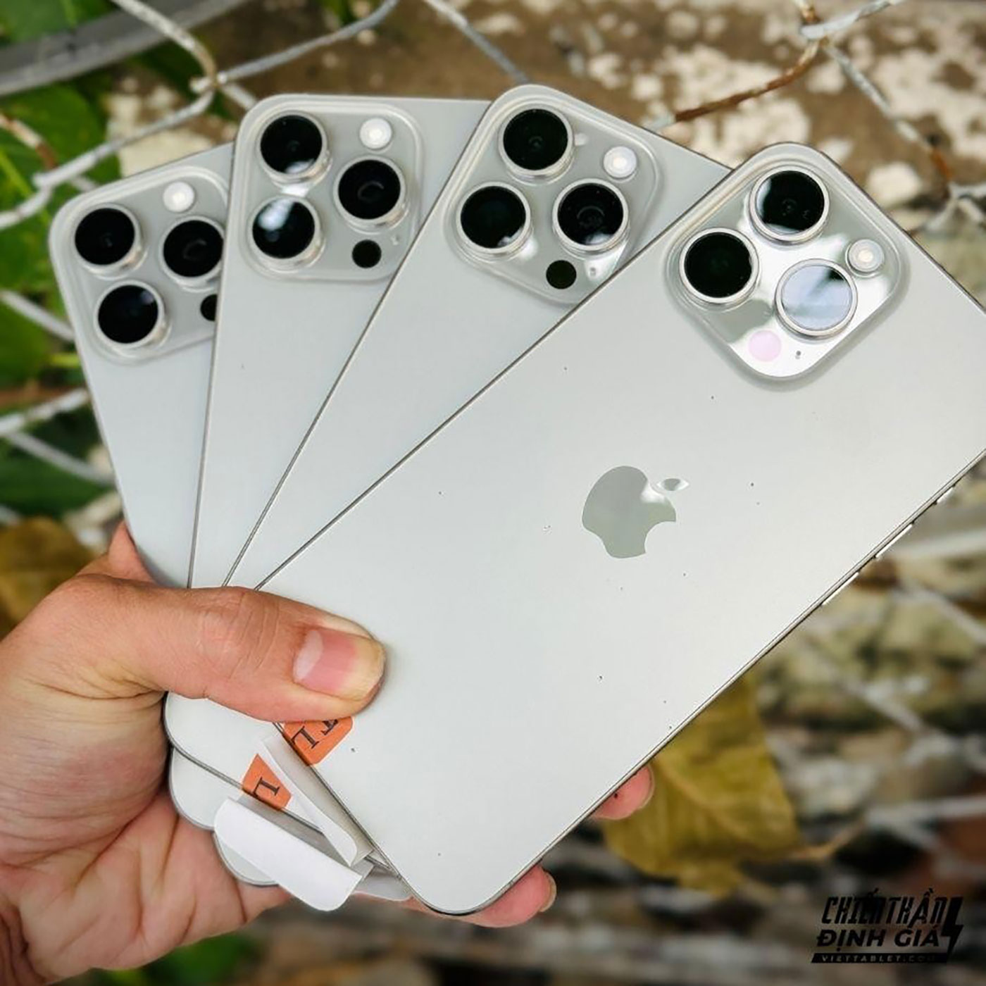 iPhone 15 series và iPhone 16 series giá hạ nhiệt dịp cận tết Nguyên đán 2026 - Ảnh 2.