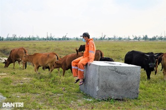"Siêu chiến lược" tái thiết tầm nhìn 100 năm của Hà Nội sẽ diễn ra thế nào? 11 Bãi cọc bê tông ở dự án nông nghiệp công nghệ cao 300 tỷ đồng của FLC