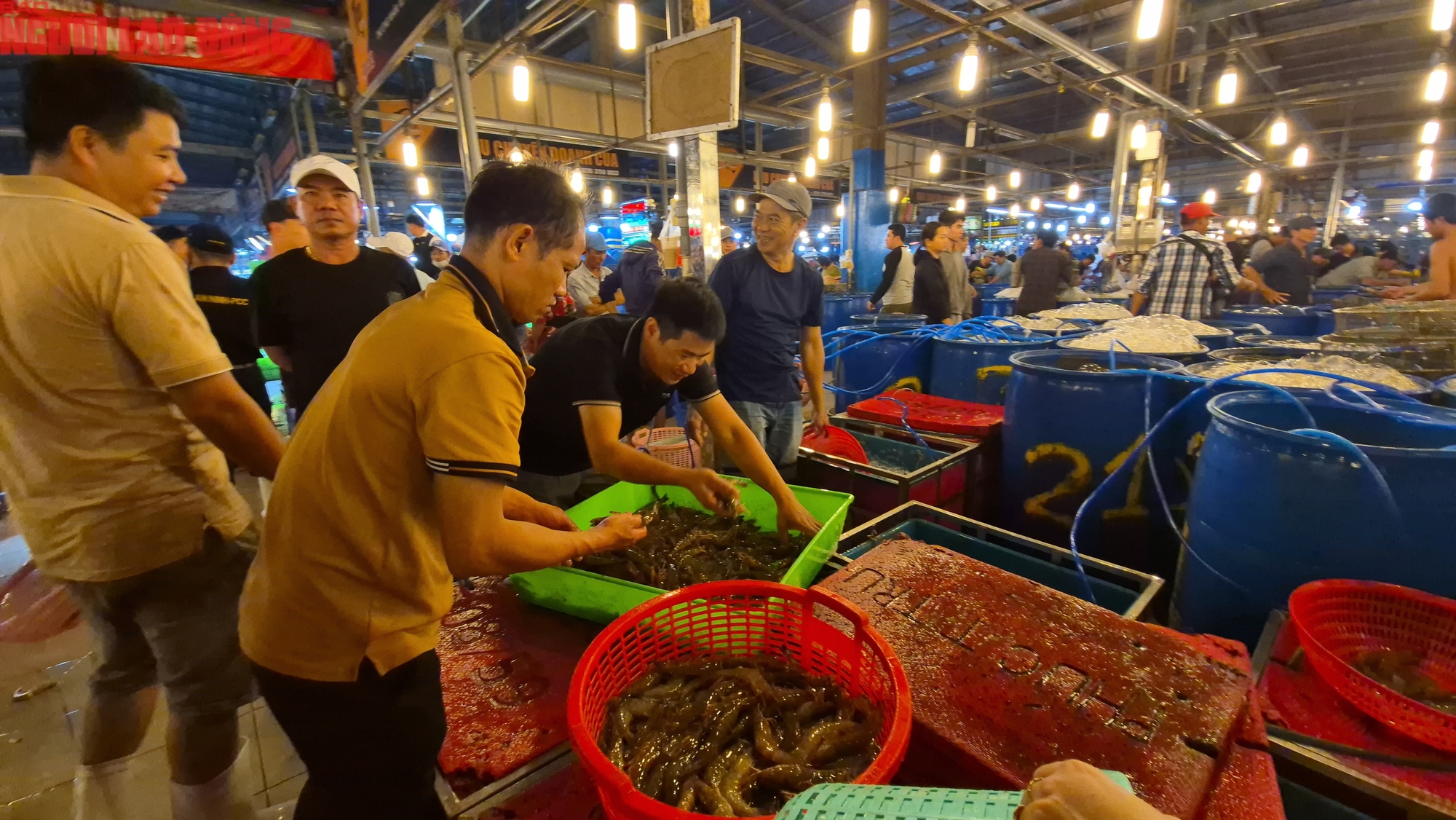 Nửa đêm ở chợ đầu mối TP HCM trước Tết Bính Ngọ 2026 - Ảnh 5.