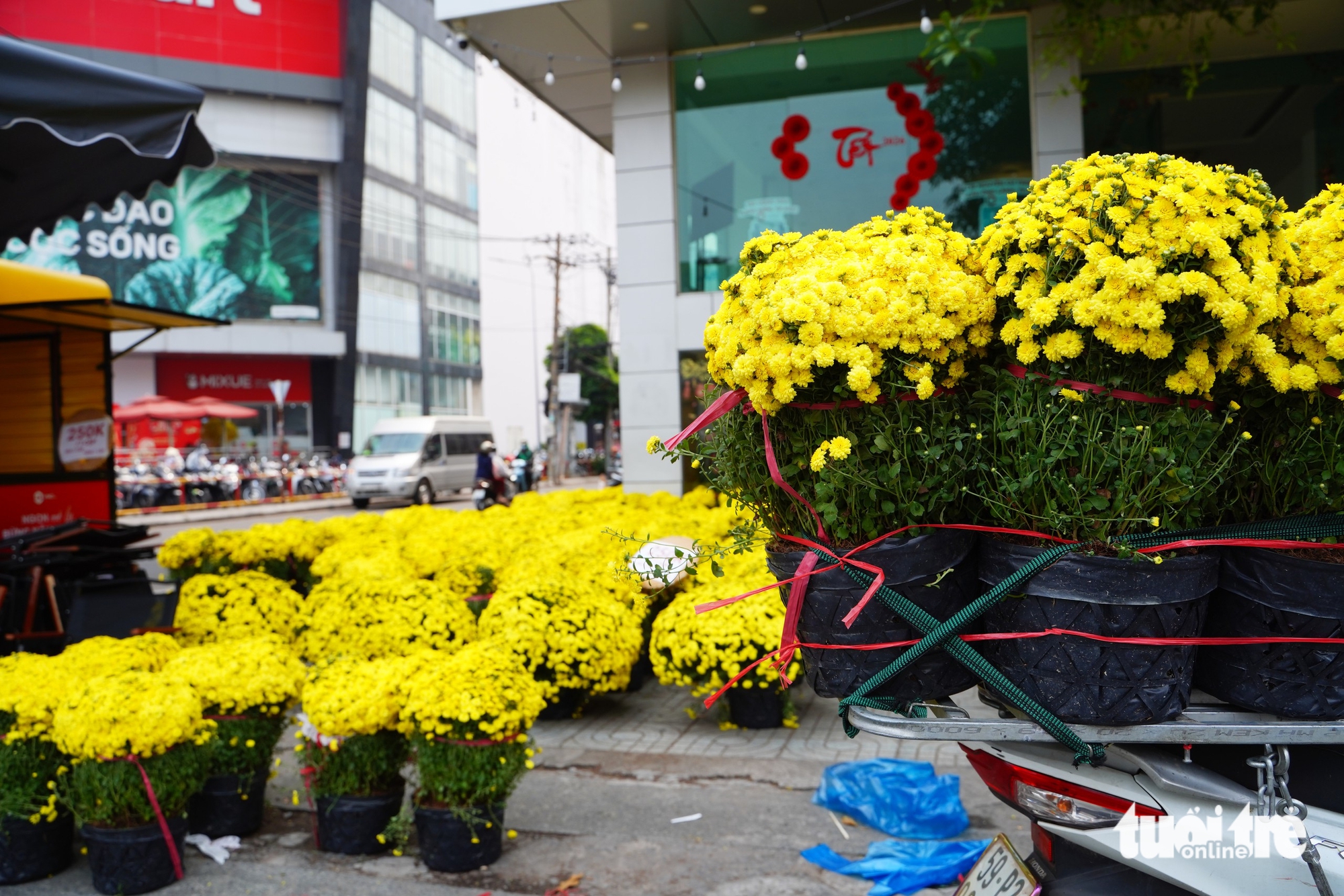 Chợ hoa - Ảnh 2.