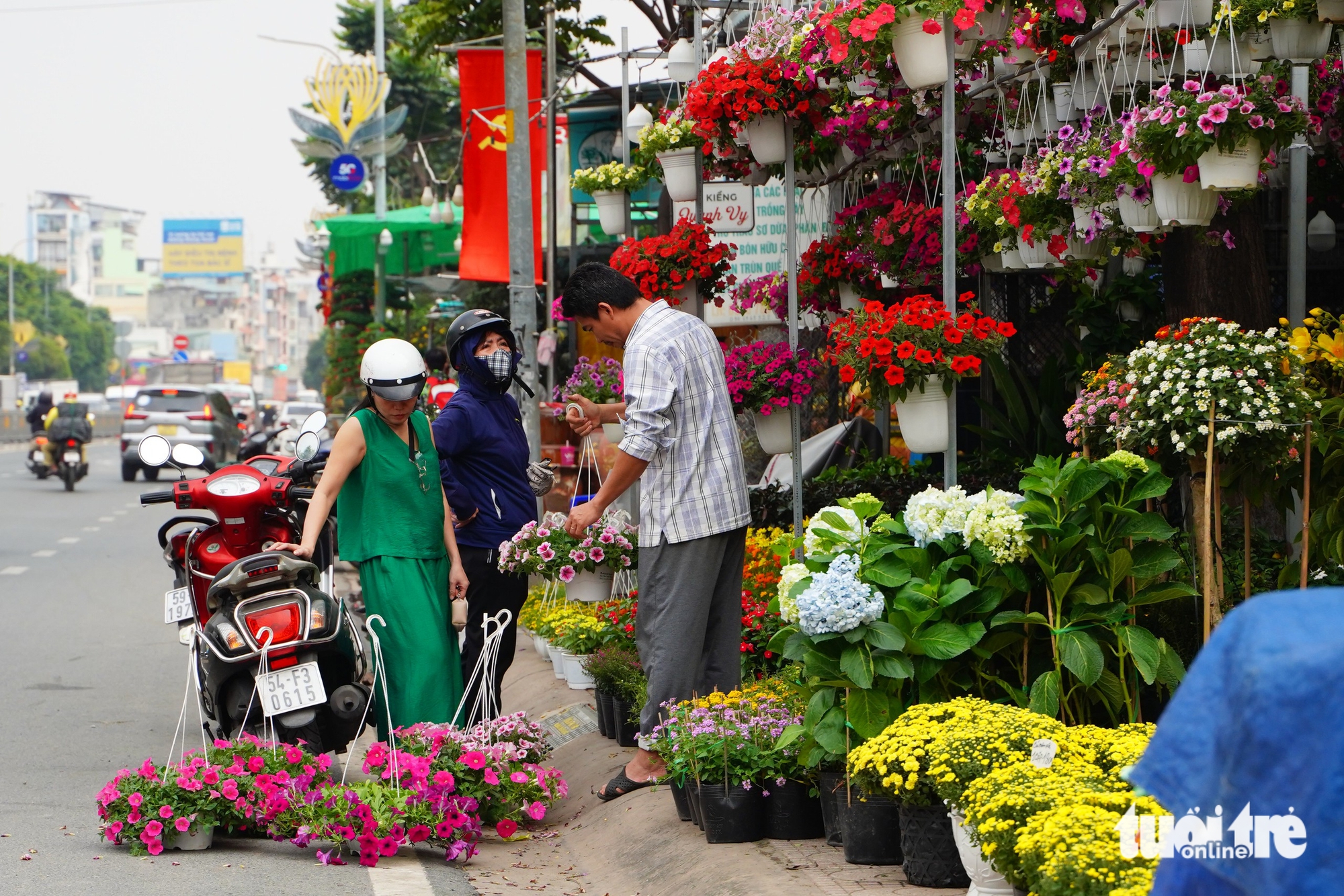 Hoa Tết nở sớm, nhiều điểm bán lẻ đã 'họp chợ' giữa tháng chạp - Ảnh 6.