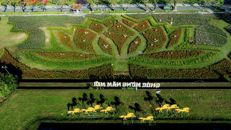 Choáng ngợp hình ảnh hàng vạn chậu hoa kết thành đóa sen khổng lồ ở Huế - 2